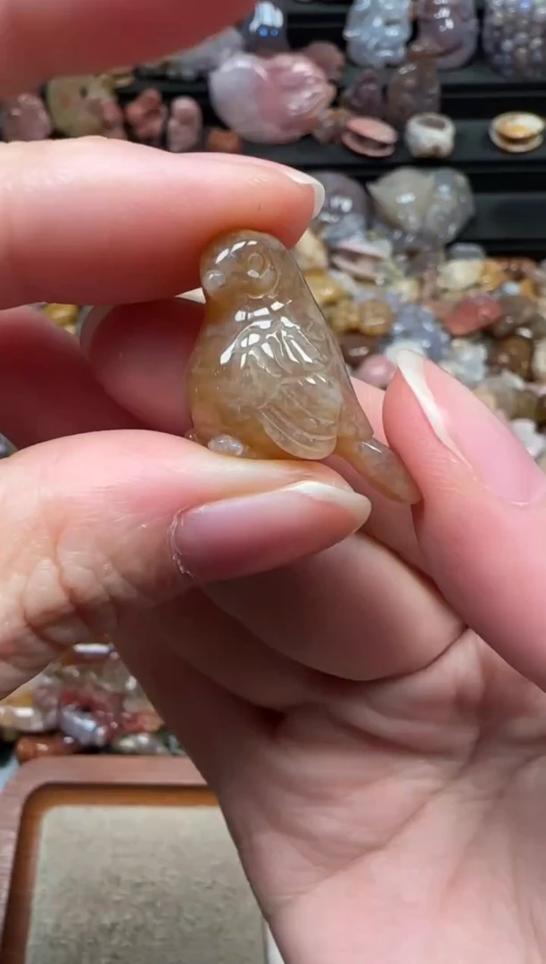 颈饰未镶嵌硅化珊瑚（珊瑚玉）260