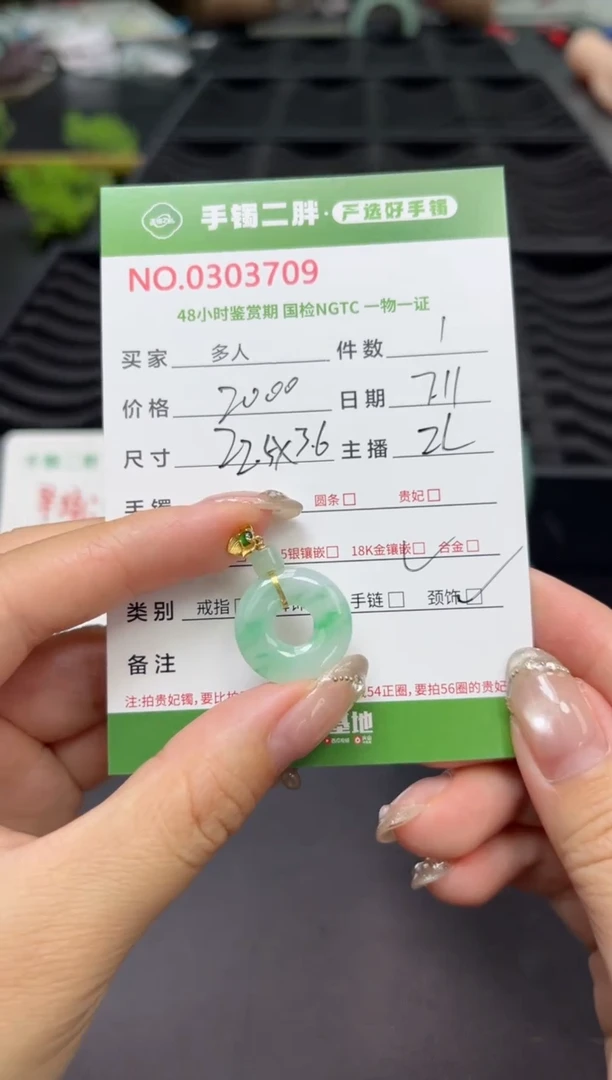 翡翠银S925镶嵌颈饰多人