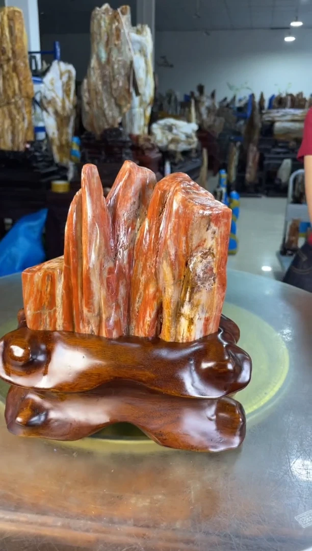 未镶嵌摆件硅化玉16