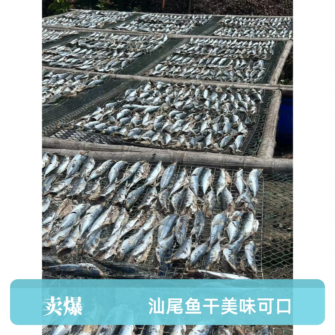 汕尾马宫本港小花仙，巴浪鱼，熟鱼，熟晒淡干新鲜美味