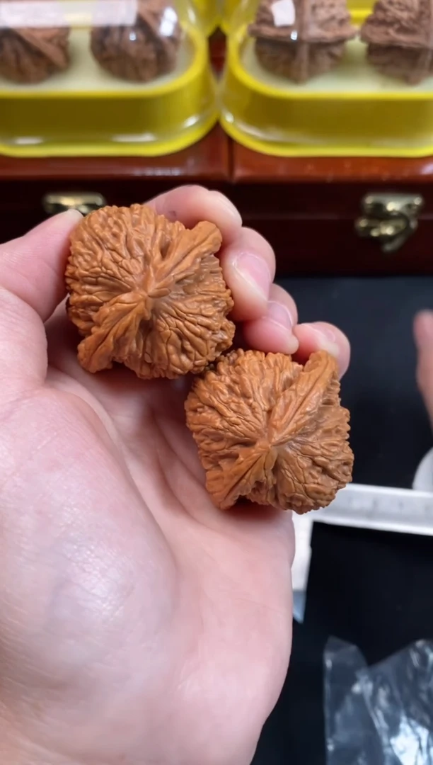 把件文玩核桃钱***移白狮子39尺N768