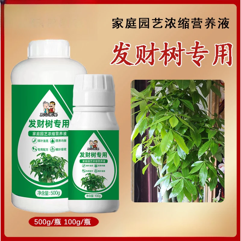 发财树专用肥料浓缩营养液家用绿叶植物盆栽养花防黄叶通用液体肥