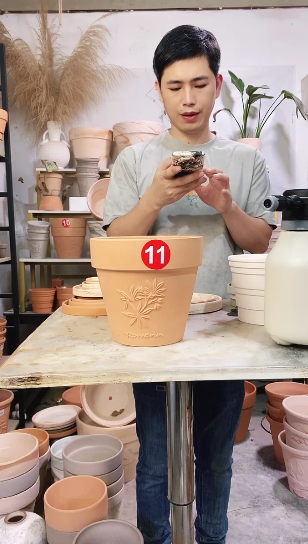 20*19红陶国际香草 1盆无托