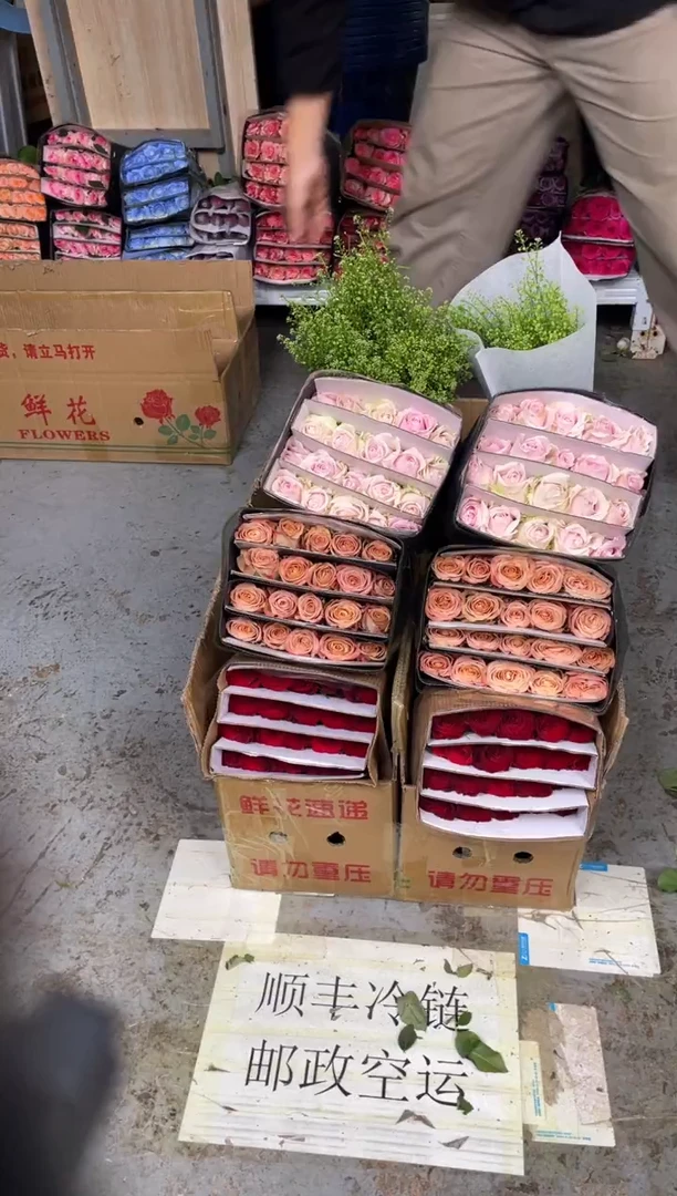 高原红20枝+粉红20枝+卡布20枝+绿林草