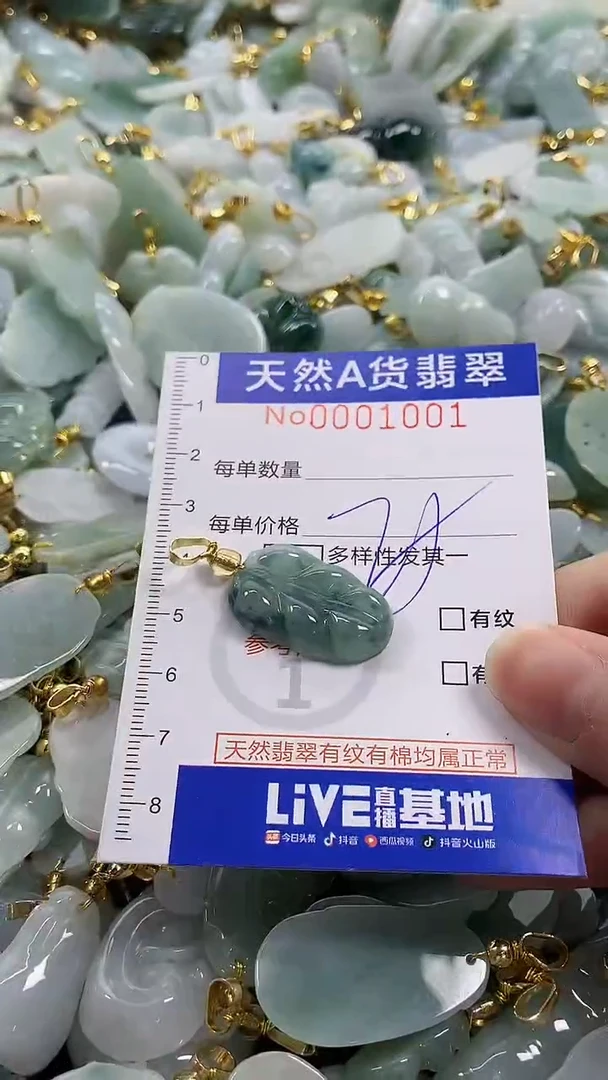 颈饰未镶嵌翡翠纯天然a货翡翠