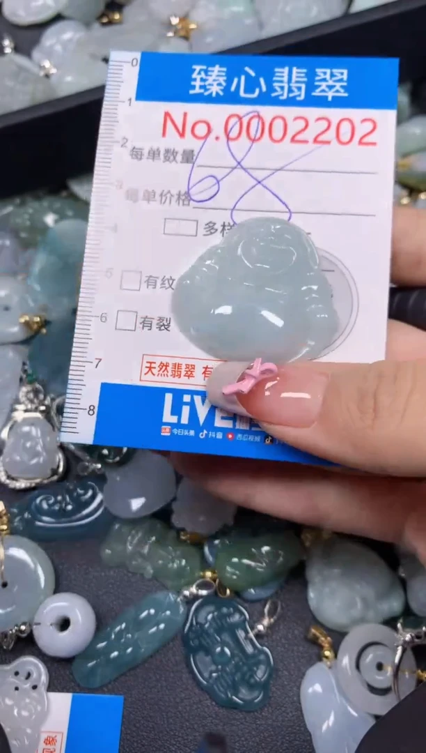 【闪购商品】翡翠颈饰未镶嵌含绳0002202