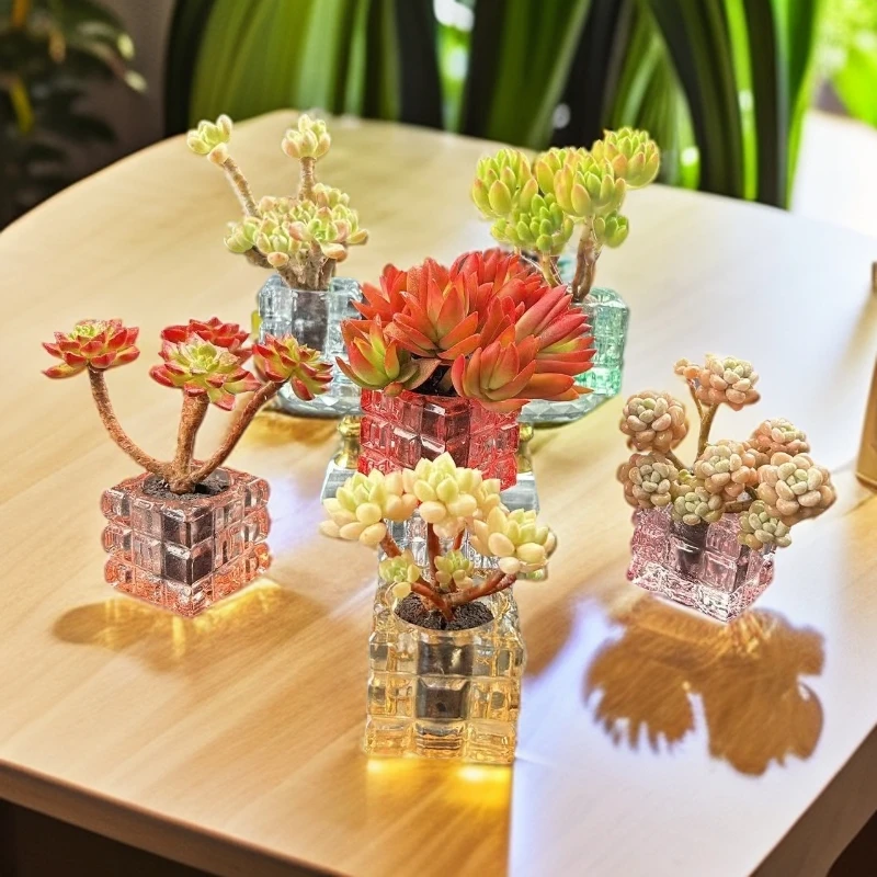 C4无土老桩组合(含彩晶花器