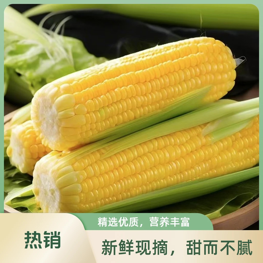 水果玉米云南玉米【五根装】2500±50克水果玉米云南省