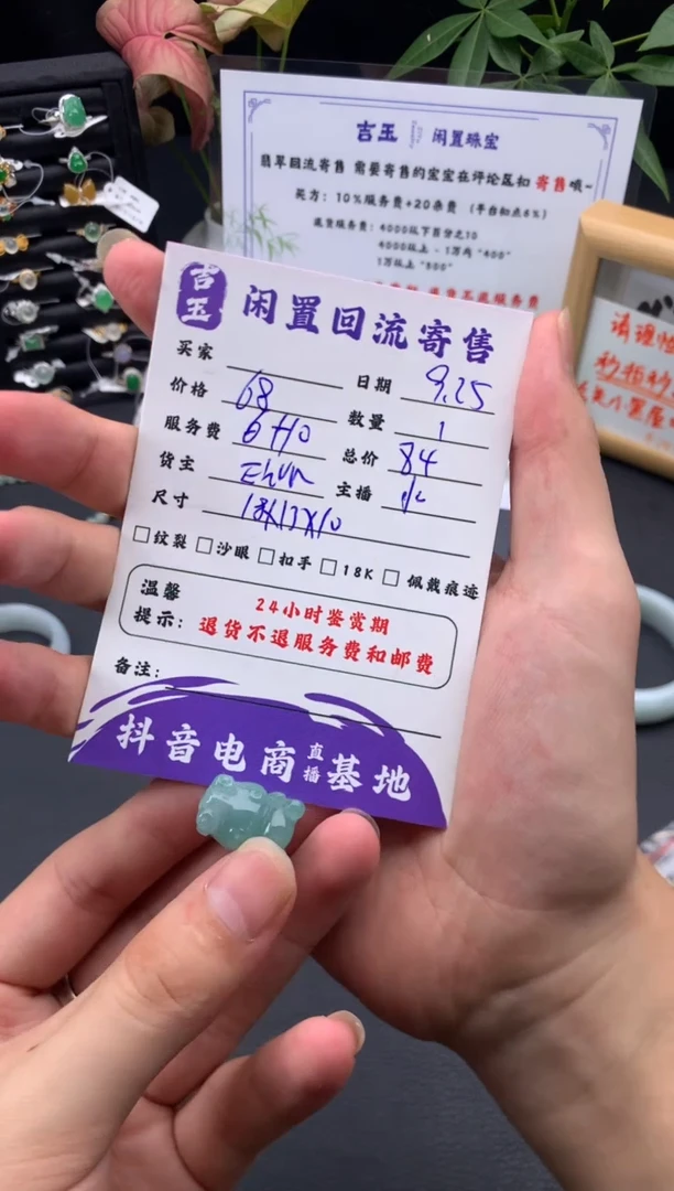 颈饰未镶嵌翡翠挂件