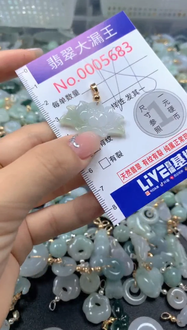 颈饰未镶嵌翡翠5683