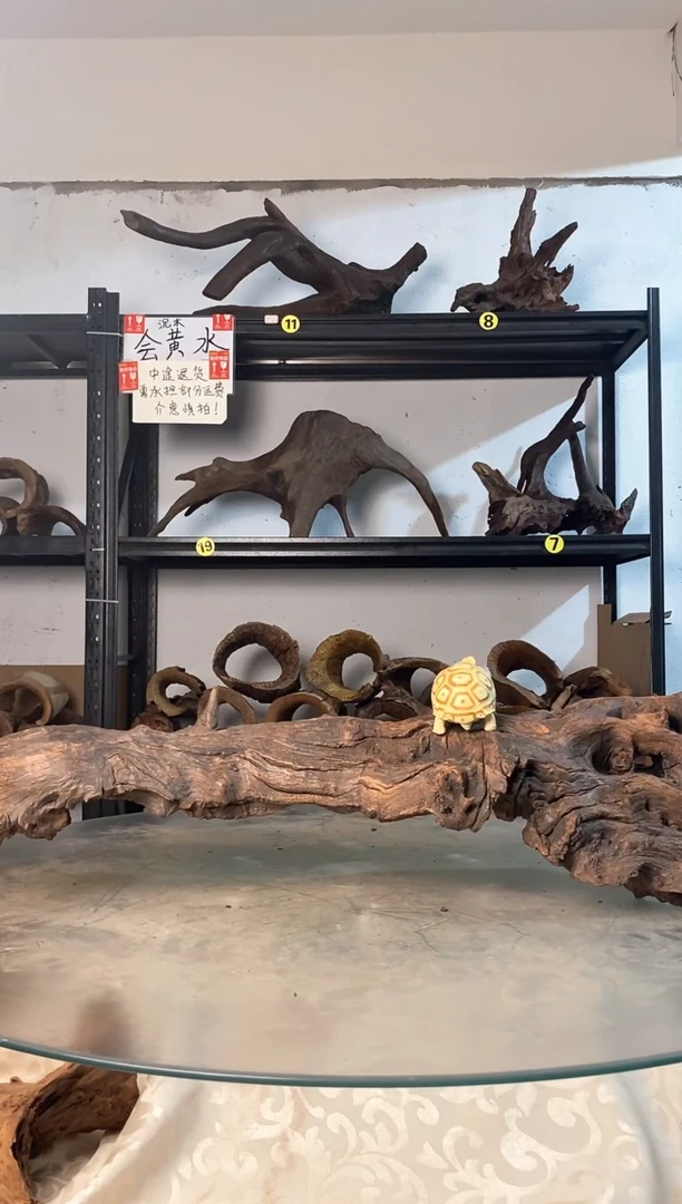 焦*?鱼缸爬宠造景素材649