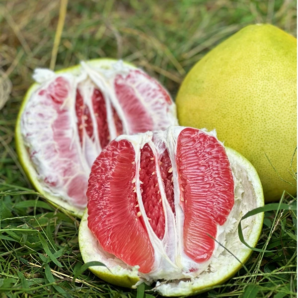 山果树富硒有机薄皮特惠小果20斤/袋（单果净重2斤以下）