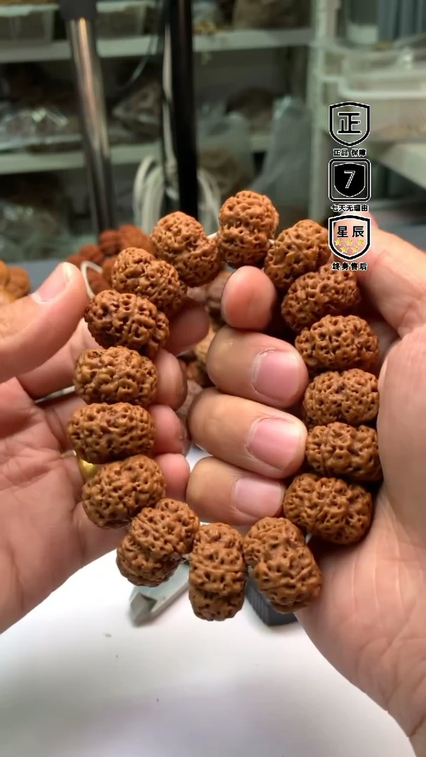 金刚菩提手串042