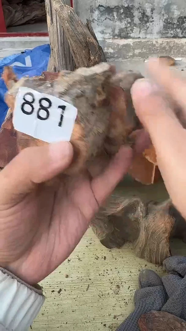 柏木（崖柏）太行陈化崖柏香片！随机一片！（1单2片）881