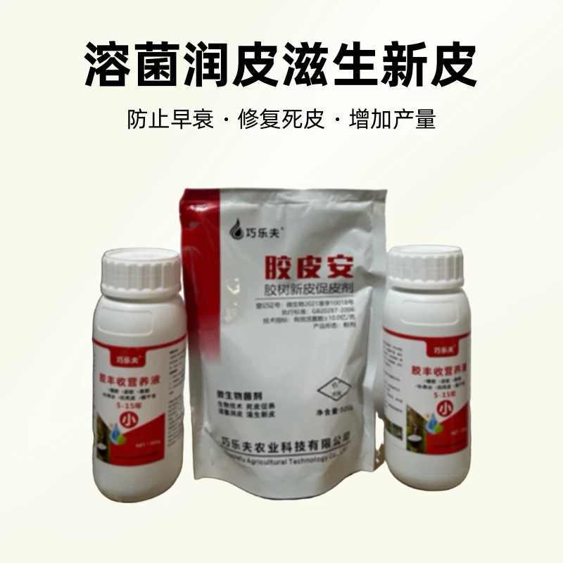 橡胶树科学管理方案黄金组合营养增胶,修复死皮增加产量,防止早衰