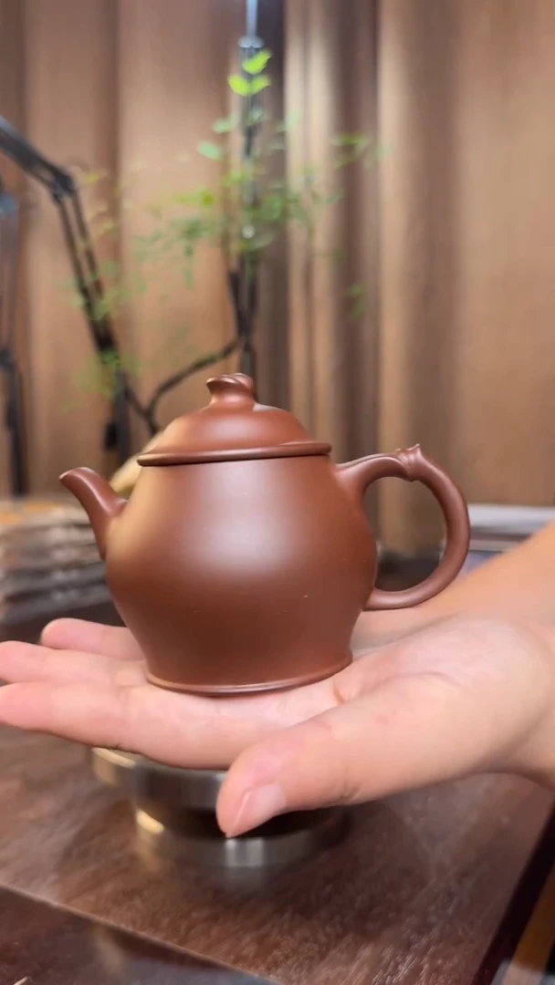 随****️简笠壶-半手精工制作（5号井红皮龙）200CC