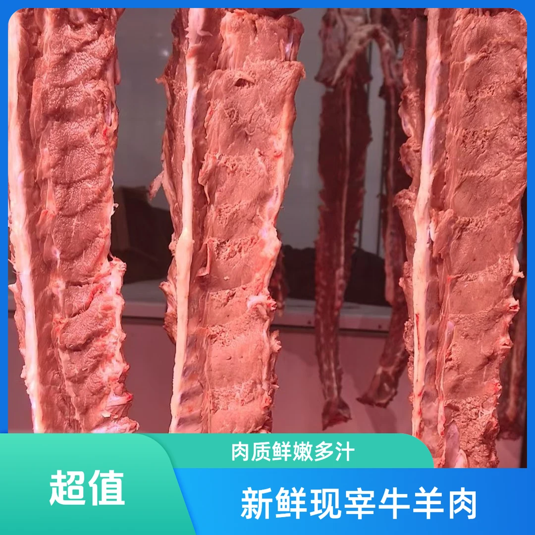 网红爆款:精品羊蝎子一整根5斤