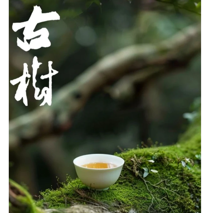 [小户赛]  普洱生茶  200克/饼