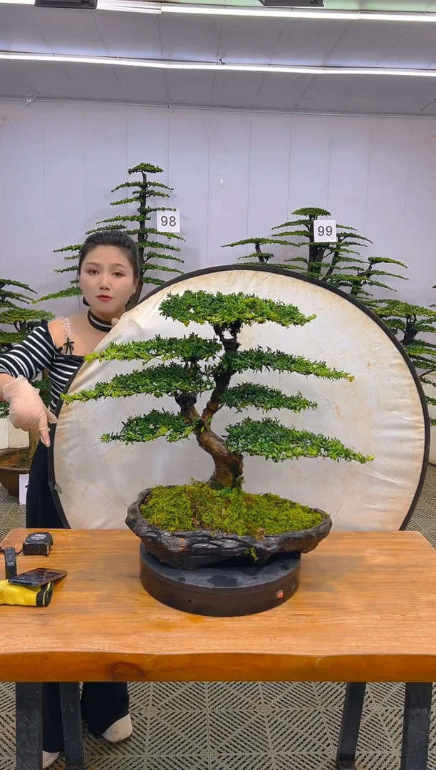 无花朵一物一拍一物一拍