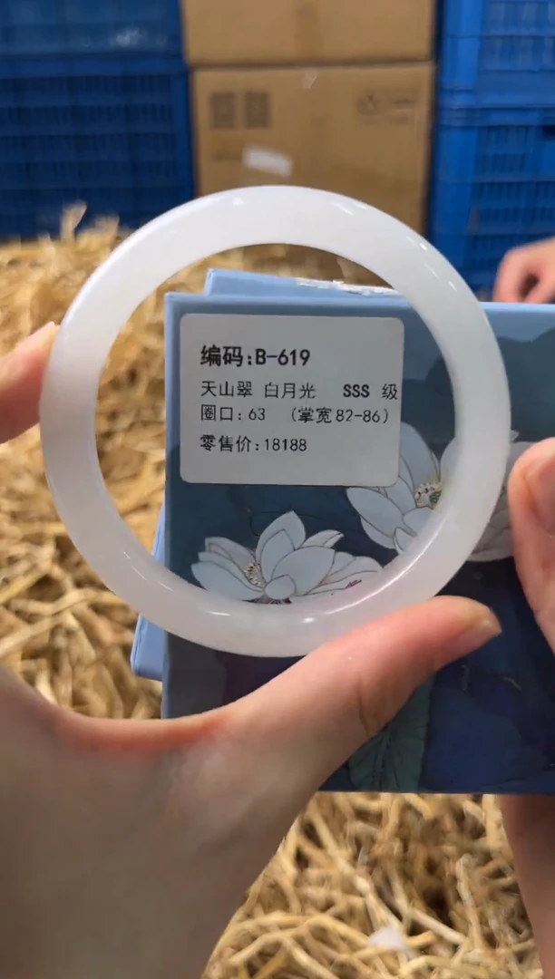 未镶嵌手镯石英质玉B-619