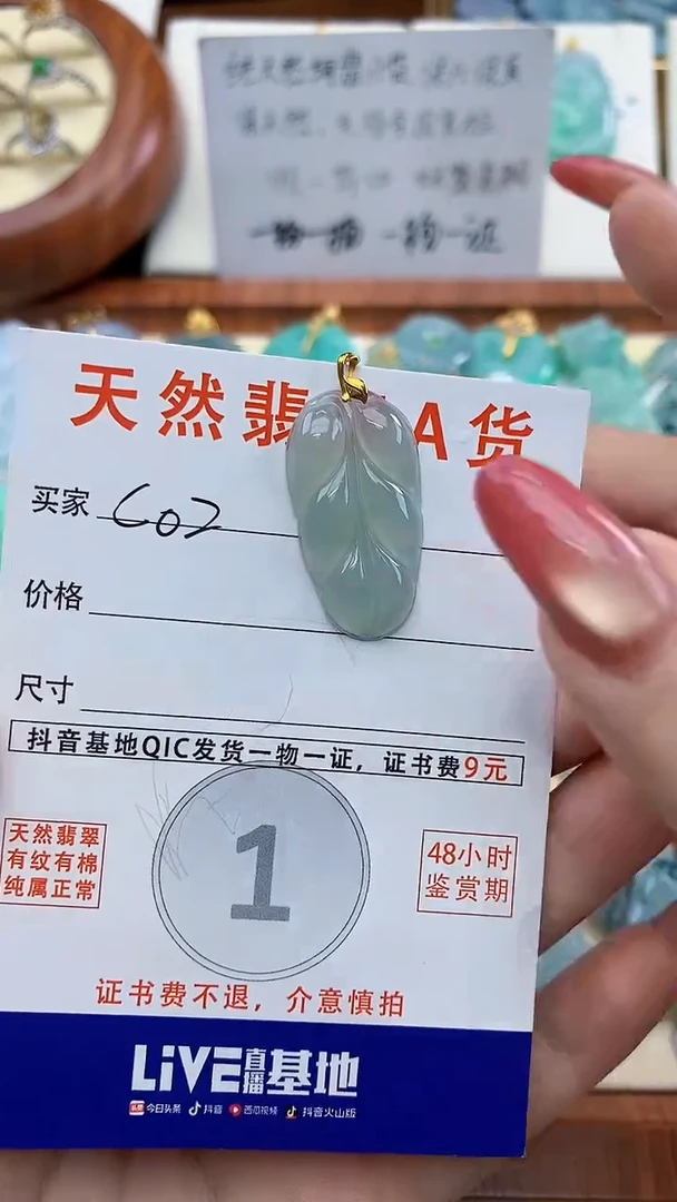 颈饰未镶嵌翡翠天然A货翡翠挂件