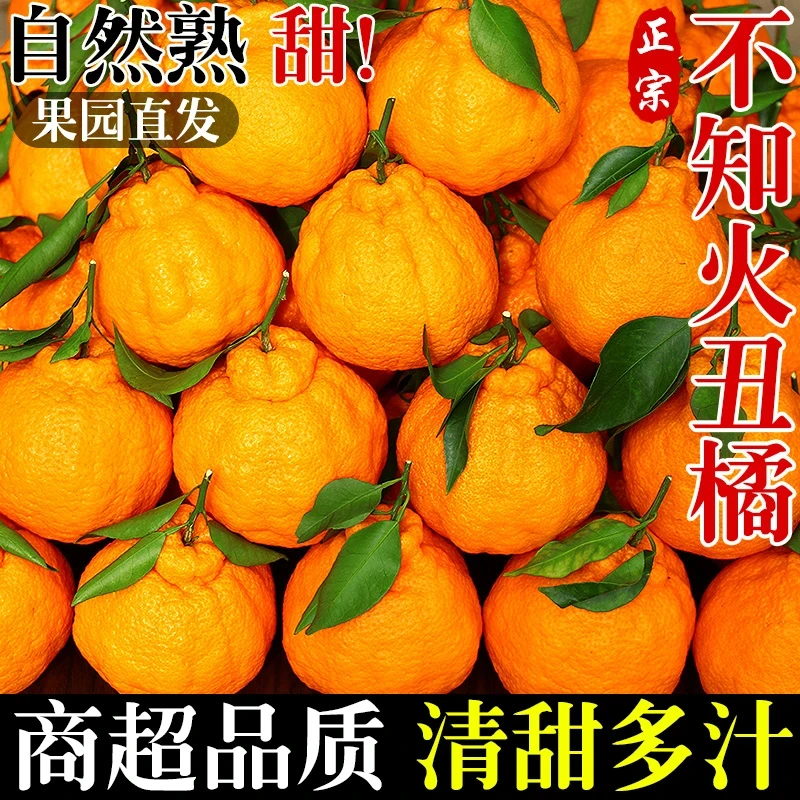正宗不知火丑橘新鲜水果当季整箱包邮丑八怪橘子粑粑蜜桔子柑橘桔