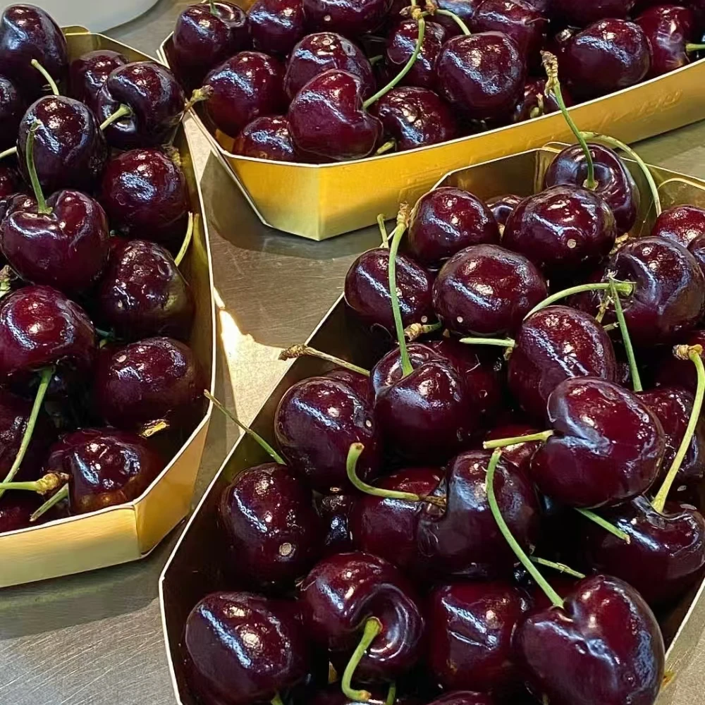 金都乐 车厘子 2JD（原箱4斤）【个别有机械伤 介意勿拍】空运桑提娜