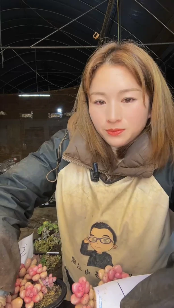 【闪购商品】桃蛋6号一物一拍包邮