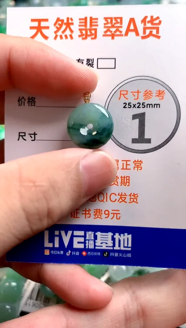 颈饰未镶嵌翡翠26100104