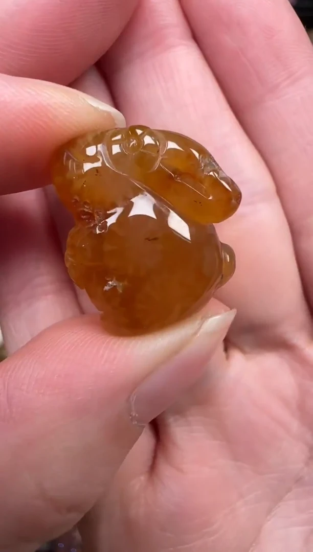 颈饰未镶嵌硅化珊瑚（珊瑚玉）603