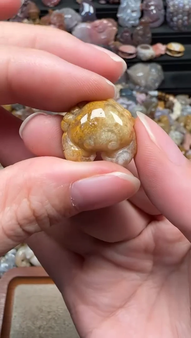 颈饰未镶嵌硅化珊瑚（珊瑚玉）306