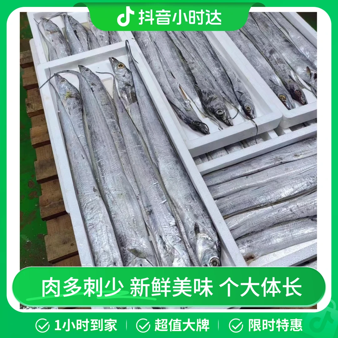 精品带鱼1条（单条约220-260g）