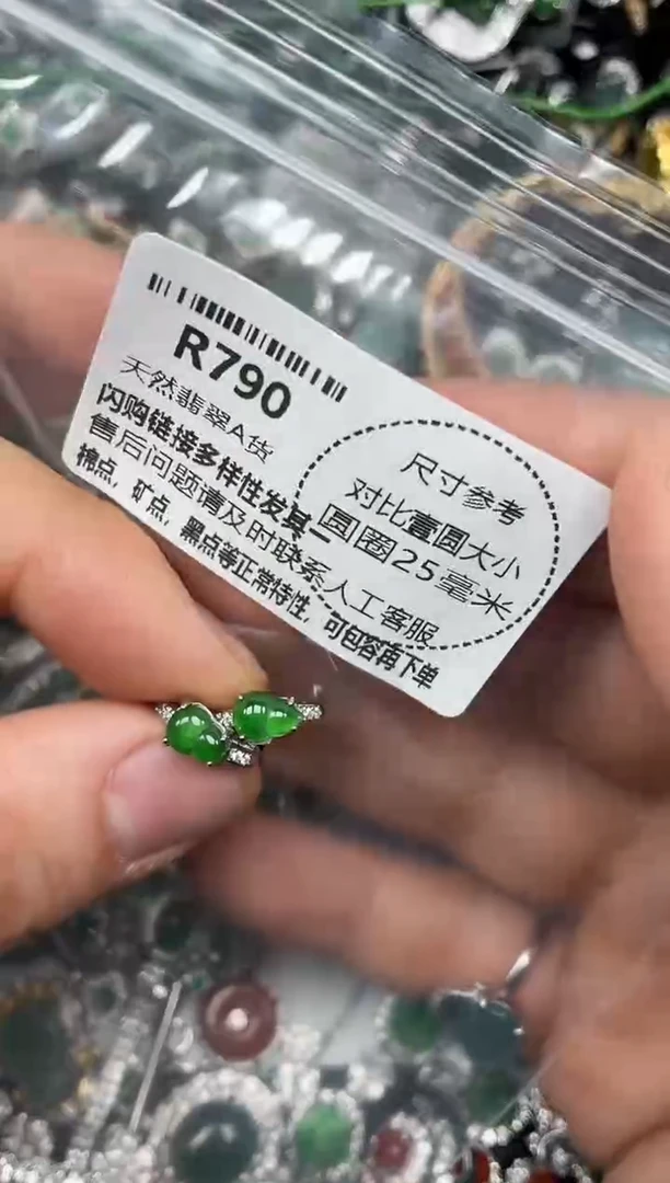 颈饰未镶嵌翡翠R790耳扣