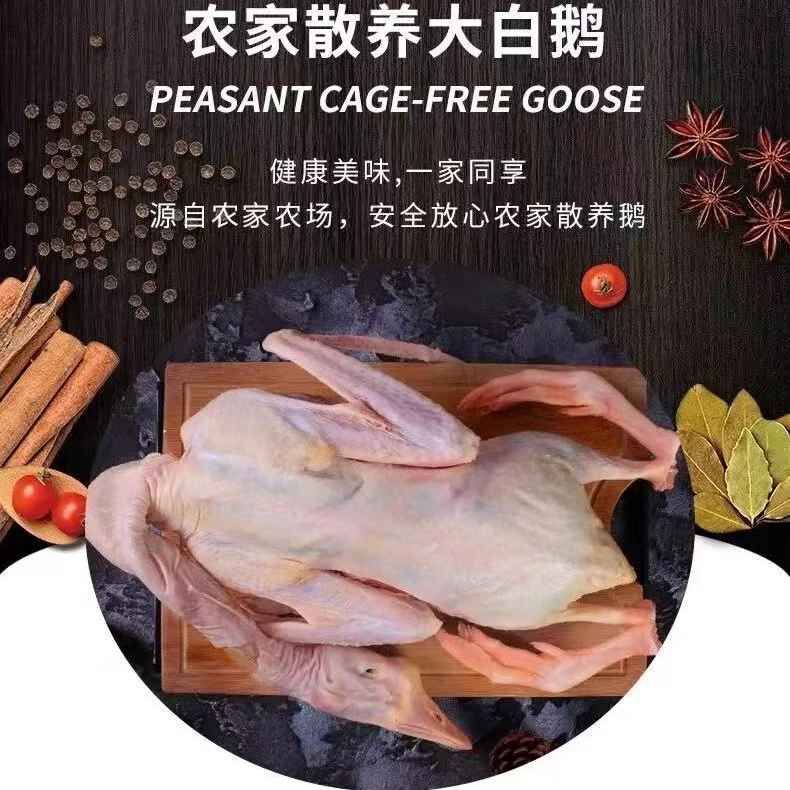 东北鲜杀散养大白鹅