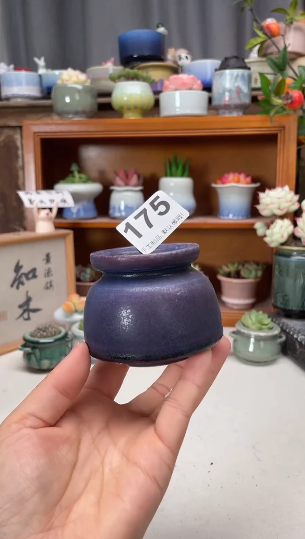 瓷片175知木小芳花盆编号