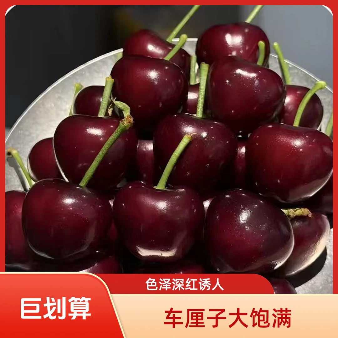 【五斤进口原箱】智利空运车厘子4JD顺丰包邮现发内附果径卡(HH1)