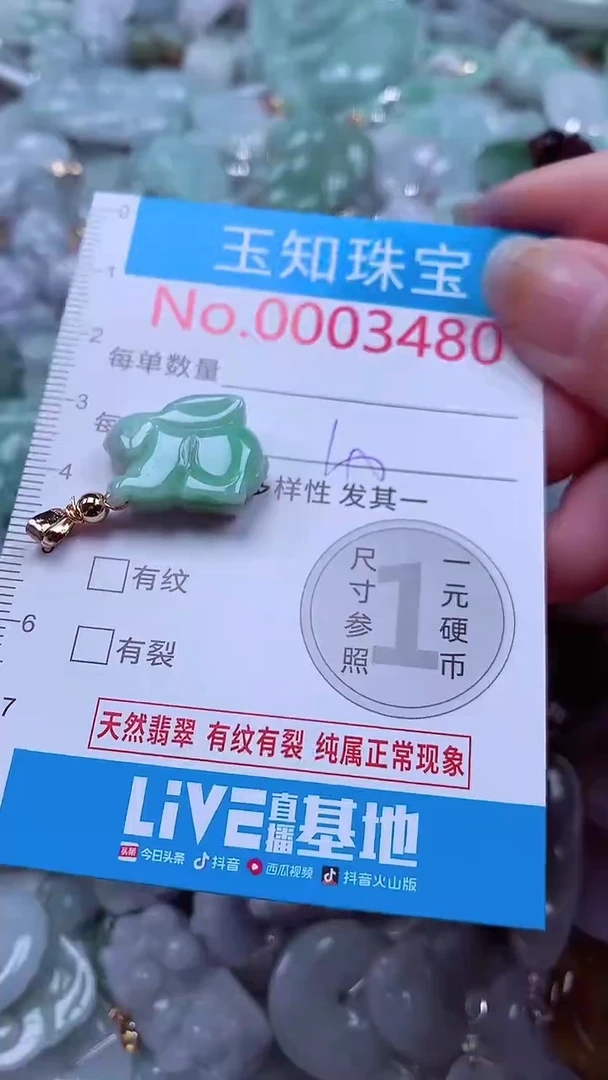 吊坠(不含链)未镶嵌翡翠3480