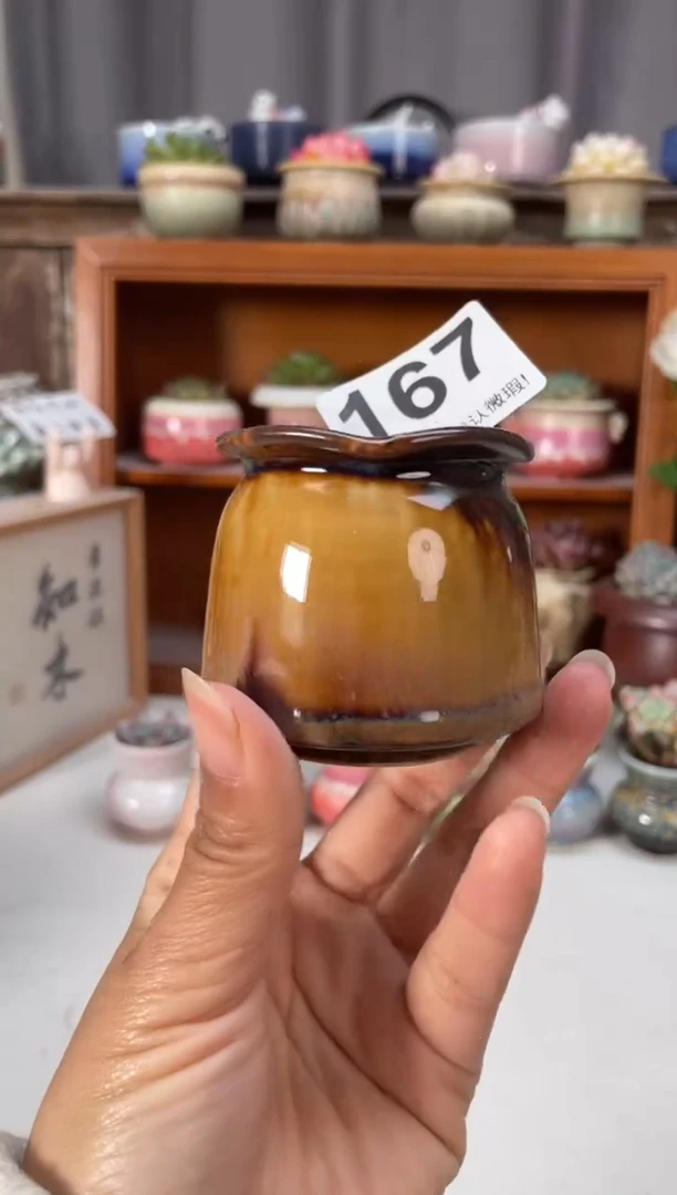 瓷片167知木小芳花盆编号