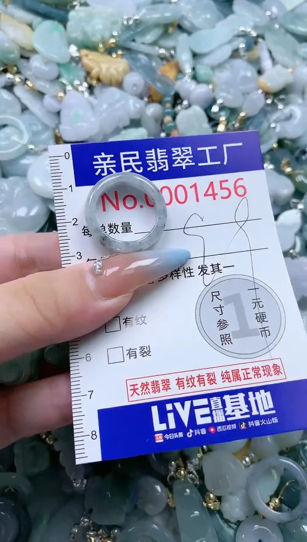 翡翠未镶嵌吊坠(不含链)1456