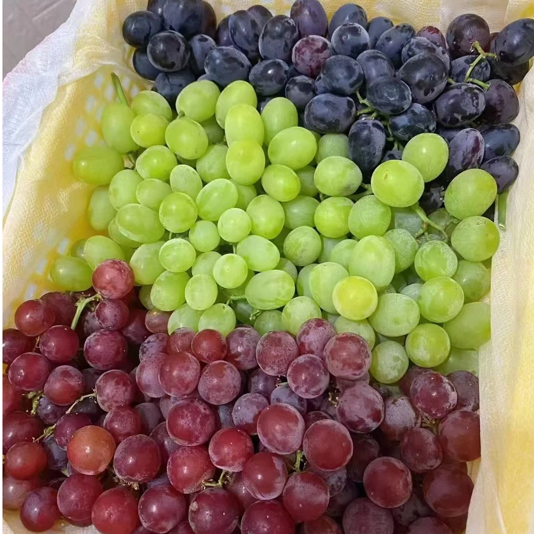 【小时达】新疆无籽葡萄 三色拼装 净果3斤 新发地直供~新疆维吾尔自治区