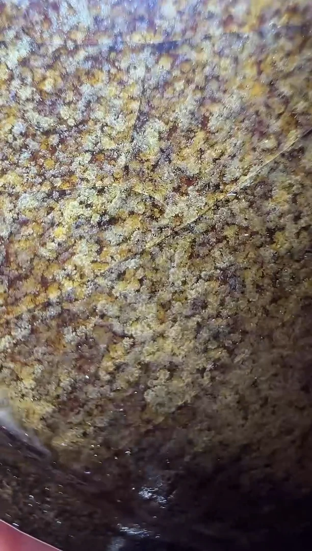 茶盏老表精选茶器82