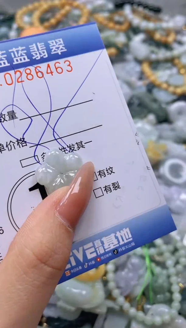 翡翠未镶嵌颈饰闪购0286463多样性发其一