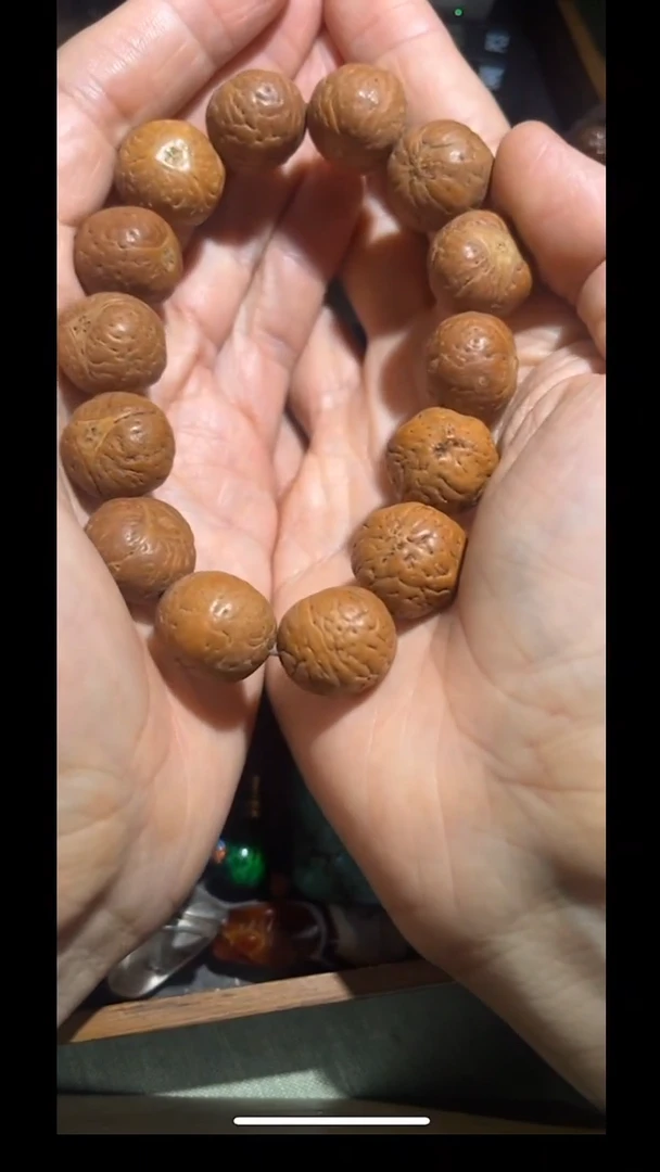 龙眼菩提手串pz721-116多样性发货发其一