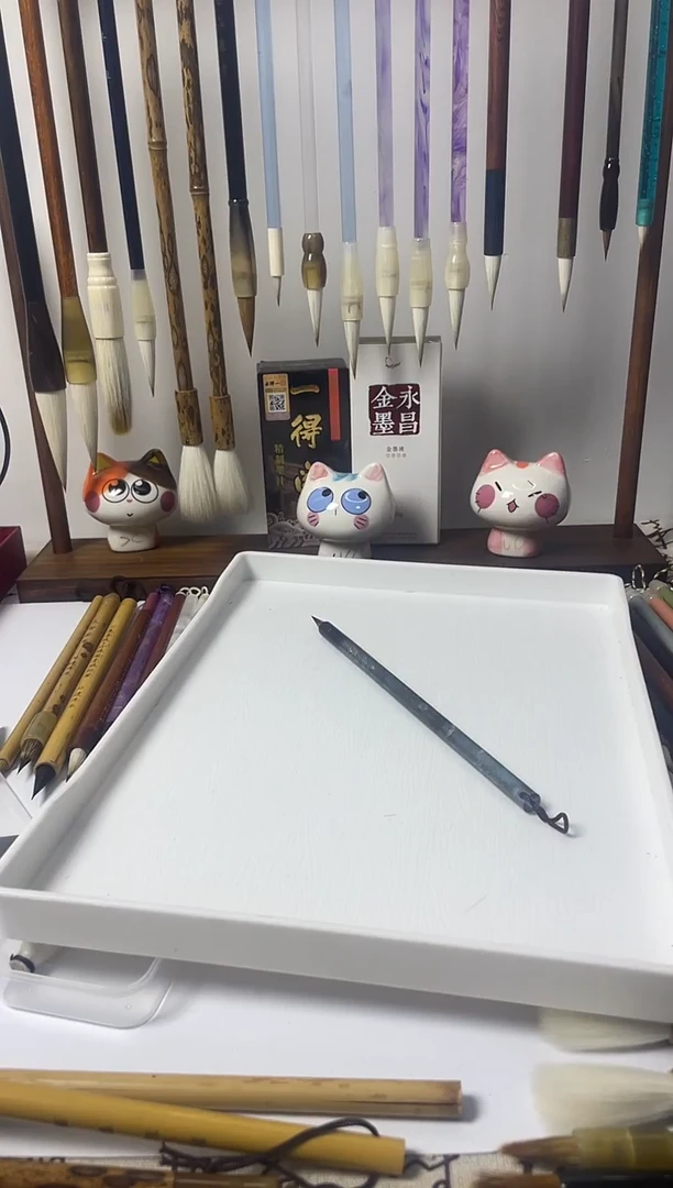 奇迹直播间小凯一直