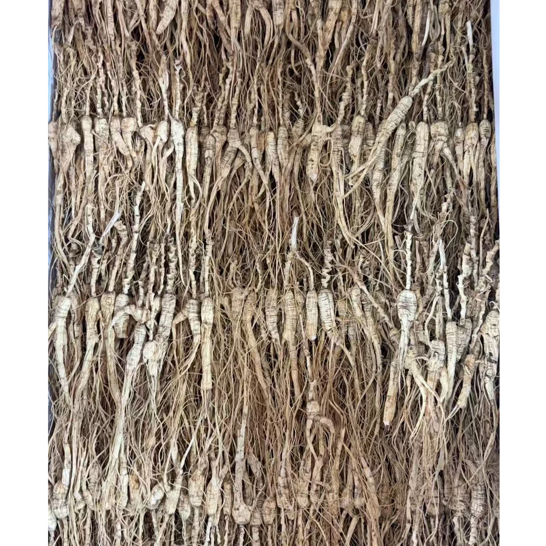 长白山 林下参籽货大 【只限徐铭鸿粉丝专拍】