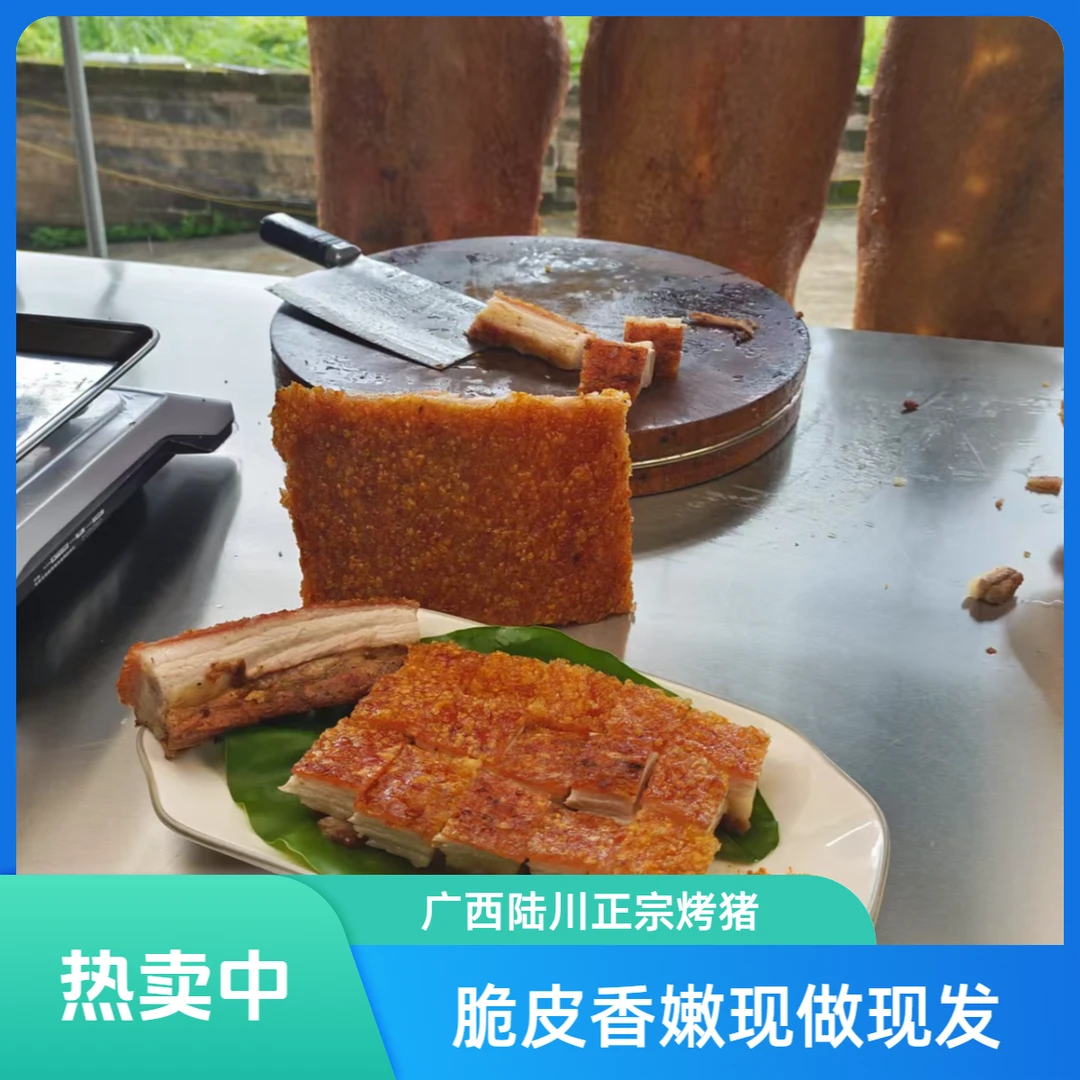 陆川脆皮烤猪香脆新鲜现做现发过节送礼美食解馋零食次日达