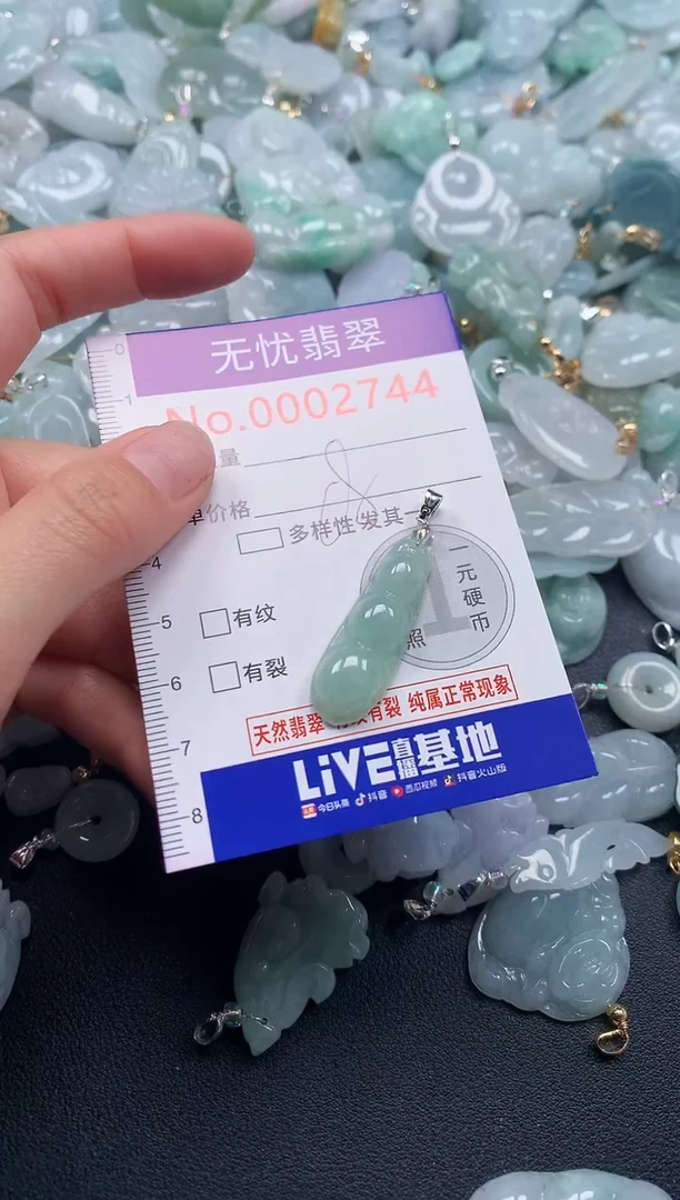 颈饰未镶嵌翡翠2744