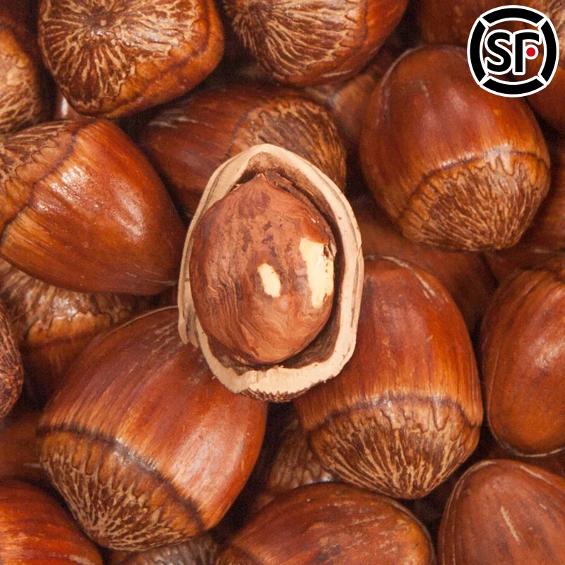 溪味道东北笨炒薄皮大尖榛子1斤辽宁本溪地产炒熟大果榛子炒货