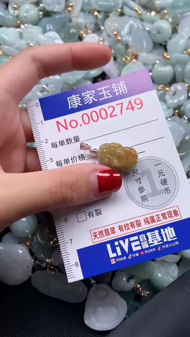 翡翠未镶嵌吊坠(不含链)2749