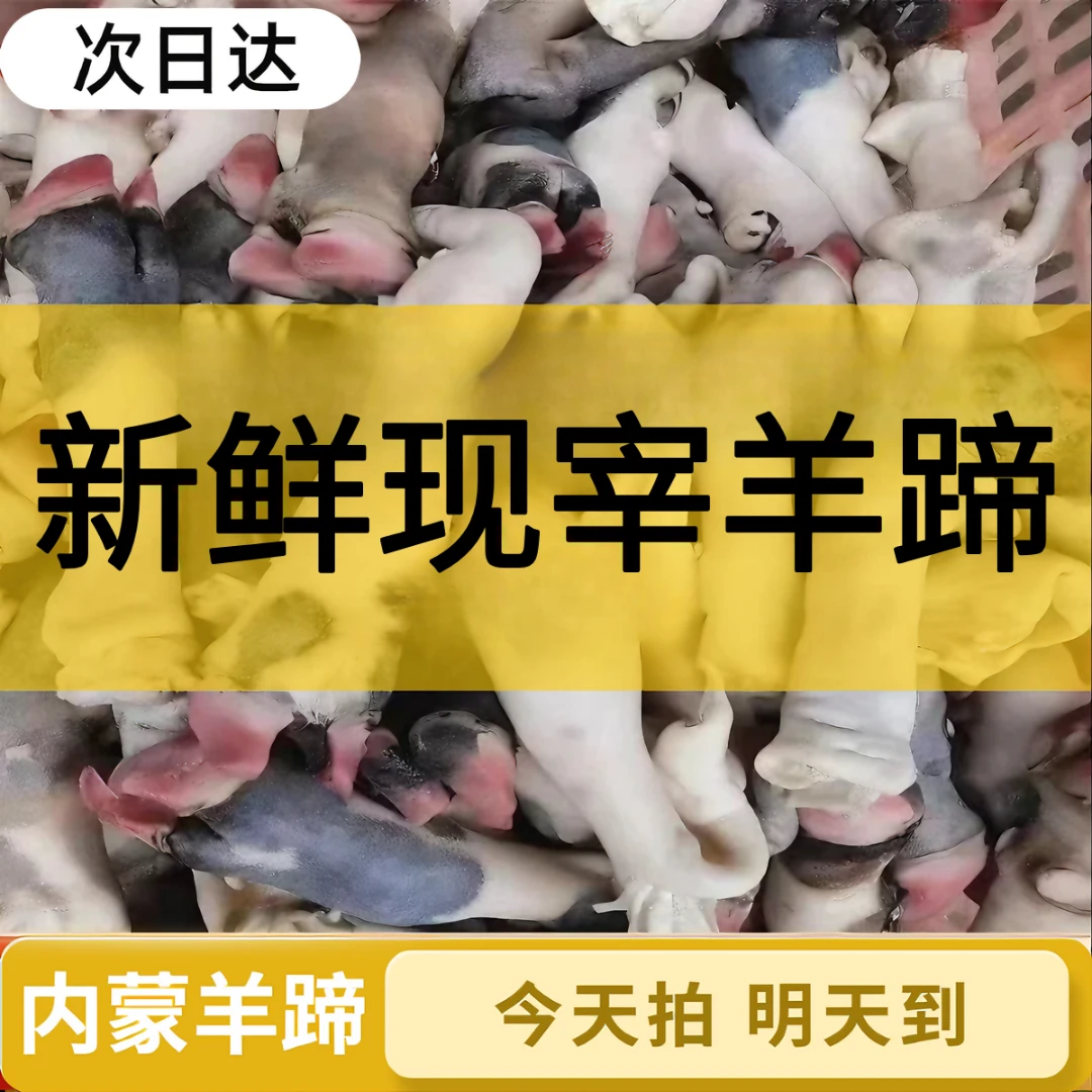 新鲜羊蹄子（带箱9斤净重8斤）生羊蹄带筋现宰羊脚冷冻羊爪羊脚蹄生羊蹄麻辣羊蹄羊肉